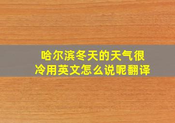 哈尔滨冬天的天气很冷用英文怎么说呢翻译