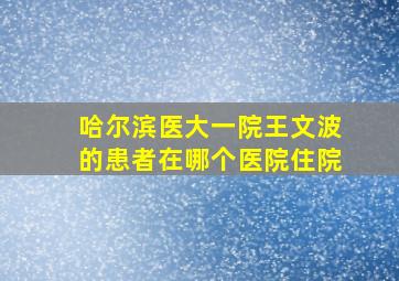 哈尔滨医大一院王文波的患者在哪个医院住院