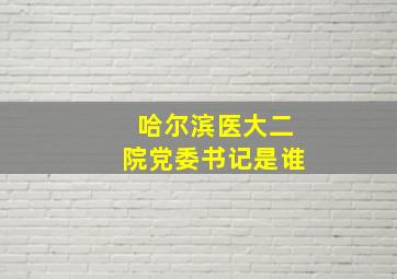 哈尔滨医大二院党委书记是谁