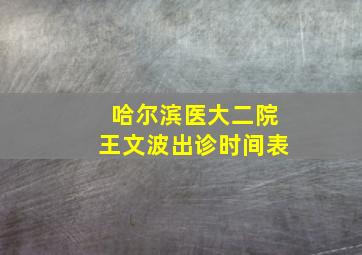 哈尔滨医大二院王文波出诊时间表