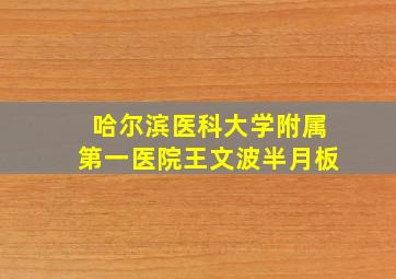 哈尔滨医科大学附属第一医院王文波半月板