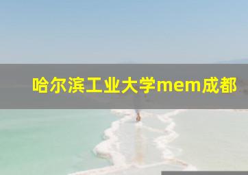 哈尔滨工业大学mem成都