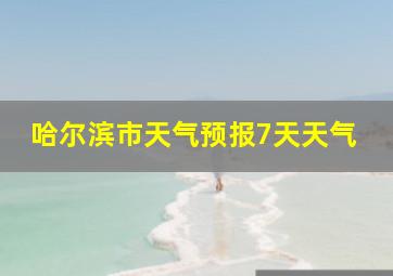 哈尔滨市天气预报7天天气