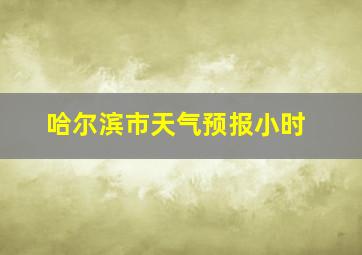 哈尔滨市天气预报小时