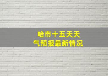 哈市十五天天气预报最新情况