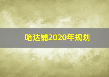 哈达铺2020年规划