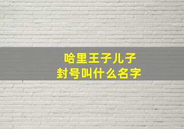 哈里王子儿子封号叫什么名字