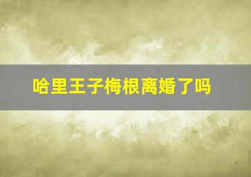 哈里王子梅根离婚了吗