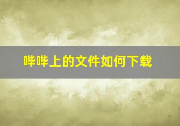 哔哔上的文件如何下载