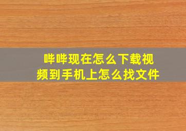 哔哔现在怎么下载视频到手机上怎么找文件