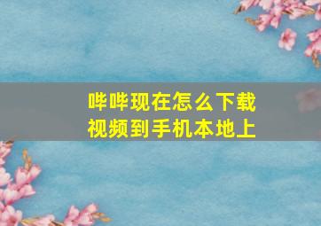 哔哔现在怎么下载视频到手机本地上