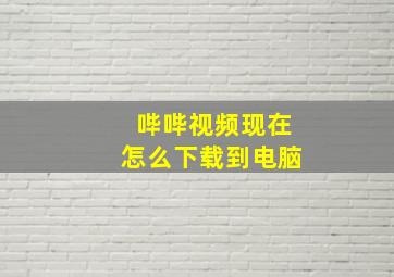 哔哔视频现在怎么下载到电脑