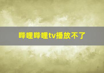 哔哩哔哩tv播放不了