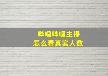 哔哩哔哩主播怎么看真实人数