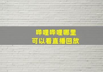 哔哩哔哩哪里可以看直播回放