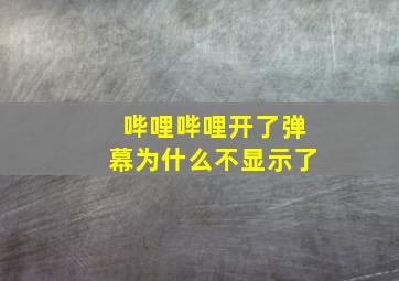 哔哩哔哩开了弹幕为什么不显示了