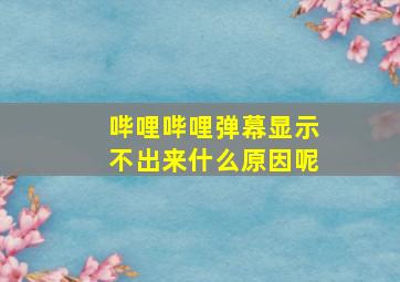 哔哩哔哩弹幕显示不出来什么原因呢