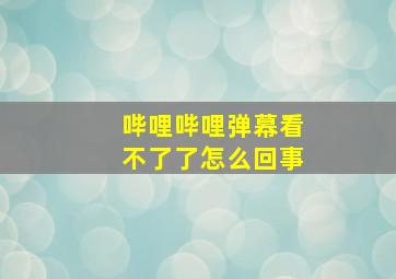 哔哩哔哩弹幕看不了了怎么回事