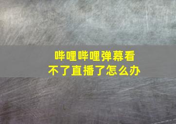 哔哩哔哩弹幕看不了直播了怎么办