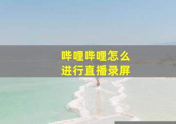 哔哩哔哩怎么进行直播录屏