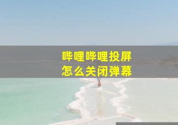 哔哩哔哩投屏怎么关闭弹幕