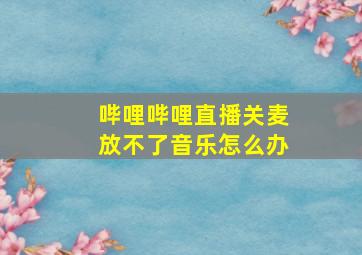 哔哩哔哩直播关麦放不了音乐怎么办