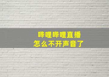 哔哩哔哩直播怎么不开声音了