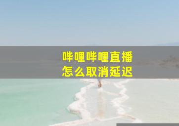 哔哩哔哩直播怎么取消延迟