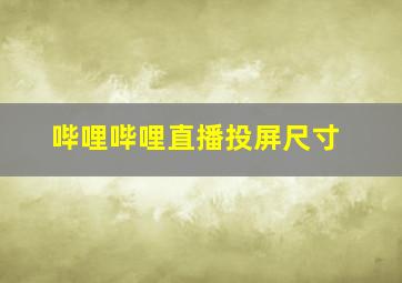 哔哩哔哩直播投屏尺寸