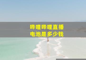 哔哩哔哩直播电池是多少钱