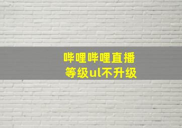 哔哩哔哩直播等级ul不升级