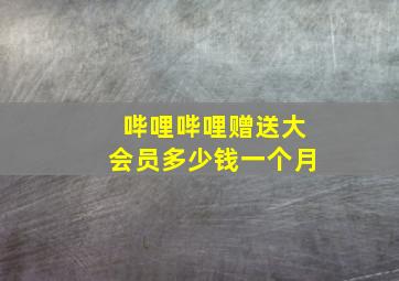 哔哩哔哩赠送大会员多少钱一个月