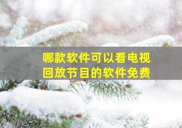 哪款软件可以看电视回放节目的软件免费