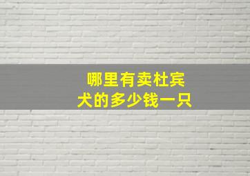 哪里有卖杜宾犬的多少钱一只