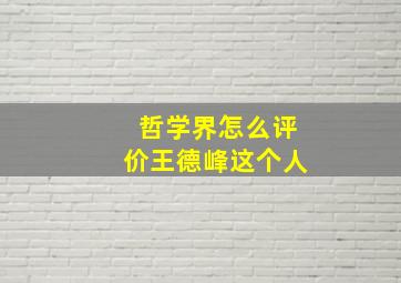 哲学界怎么评价王德峰这个人