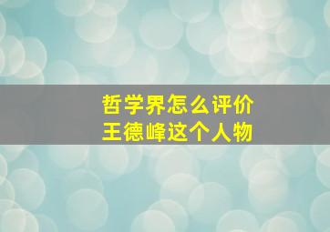 哲学界怎么评价王德峰这个人物