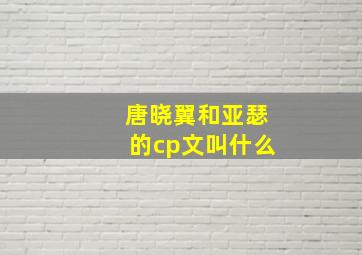 唐晓翼和亚瑟的cp文叫什么