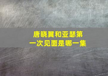 唐晓翼和亚瑟第一次见面是哪一集