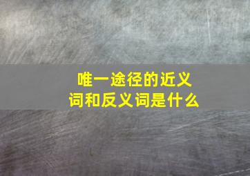 唯一途径的近义词和反义词是什么