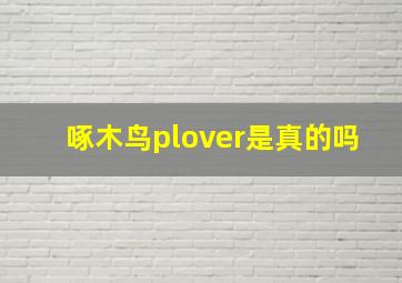 啄木鸟plover是真的吗