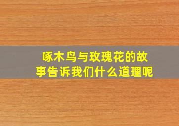 啄木鸟与玫瑰花的故事告诉我们什么道理呢