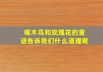 啄木鸟和玫瑰花的童话告诉我们什么道理呢