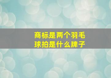 商标是两个羽毛球拍是什么牌子