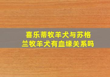 喜乐蒂牧羊犬与苏格兰牧羊犬有血缘关系吗