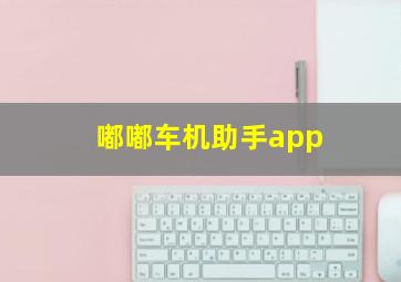 嘟嘟车机助手app