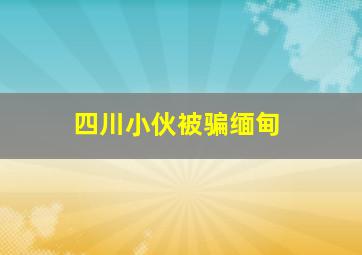 四川小伙被骗缅甸