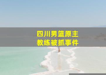 四川男篮原主教练被抓事件