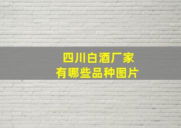 四川白酒厂家有哪些品种图片