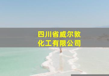 四川省威尔敦化工有限公司