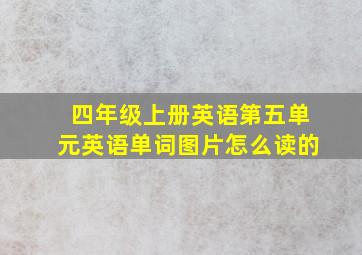 四年级上册英语第五单元英语单词图片怎么读的